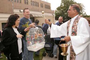 Feathered, fluffy and four-legged pals are blessed
