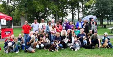 Power pooches vie for Olympic glory