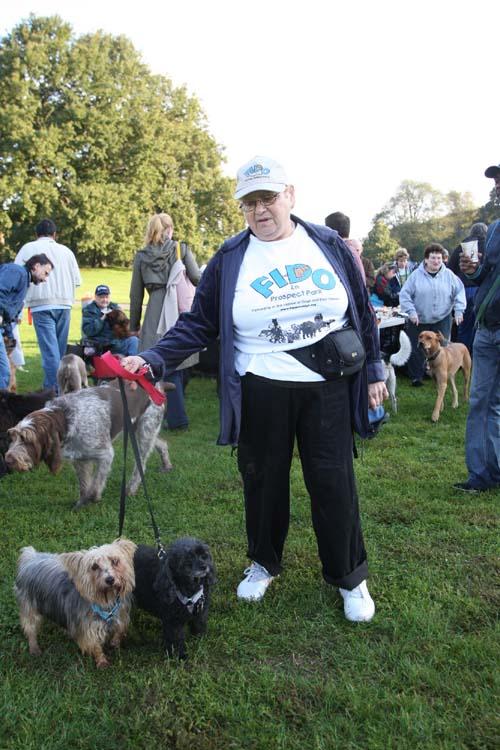 Saint Francis of Assisi: a canine’s best friend