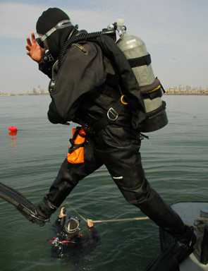 Shell shocker! Oysters thrive in our dirty water