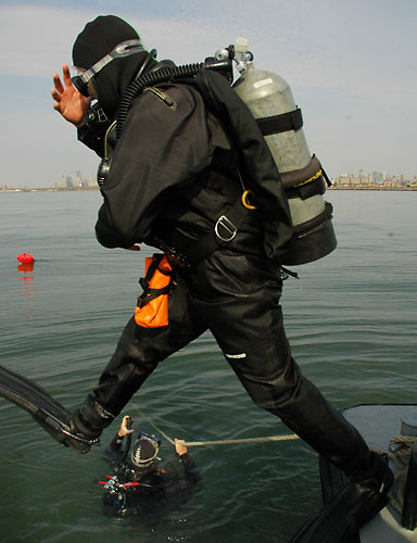 Shell shocker! Oysters thrive in our dirty water