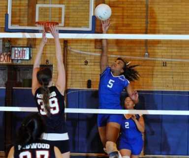 SSLJR comes from nothing — literally — to contender