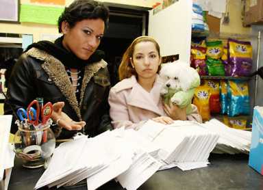 City has claws out for pet salon