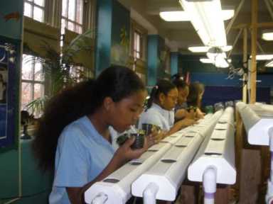 Surf’s up at Shell Bank
