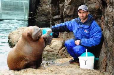 Toasts and tusks to ’09