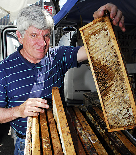 Bee-lieve it! Keeper: Cellphones killing honeymakers