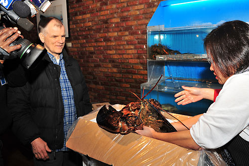 Craig is free! The 20-pound lobster returns to the sea