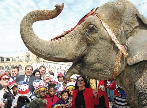 Activists have a trunkâˆ’full of criticism