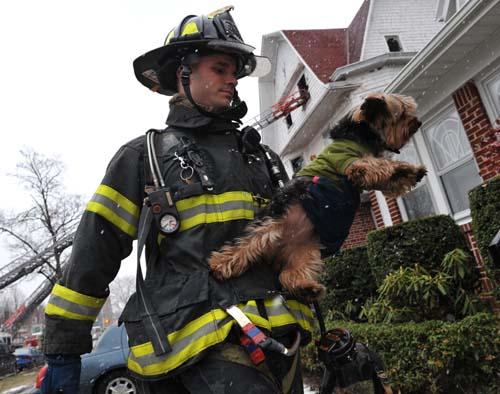 Woman and dog reunited after fire