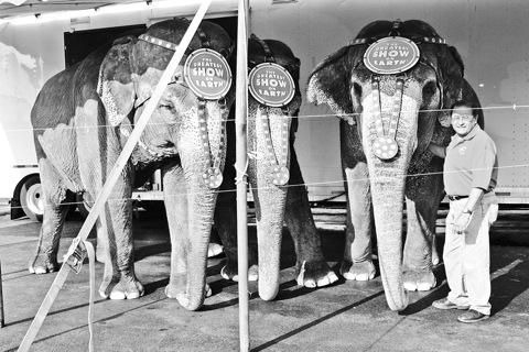 Wild and wooly neighbors in Brooklyn