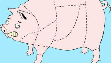 Hog heaven!