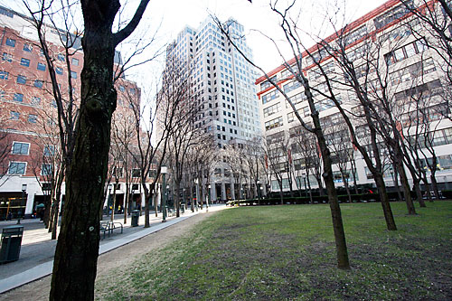 The Brooklyn Paper wanders around Metrotech!