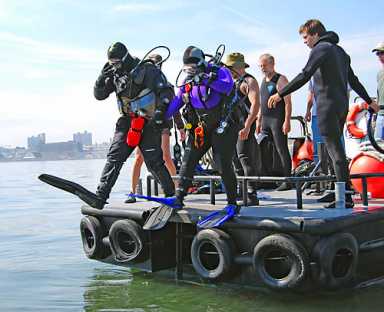 Pearl damn! Oyster experiment ends in death
