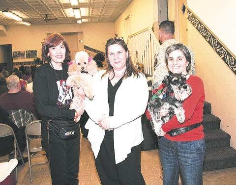 Pet project: Animals in the community