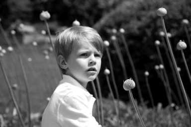 Bone marrow drive for little Kai