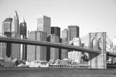 Roebling to city: don’t block the Bridge