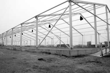 Thor equities goes topless