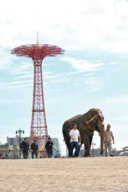 Booâˆ’ya! Circus tix go on sale