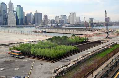 New signs of life at Bridge ‘Park’