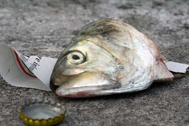 Hook, line and stinker! Ridge fishing pier is a smelly mess!