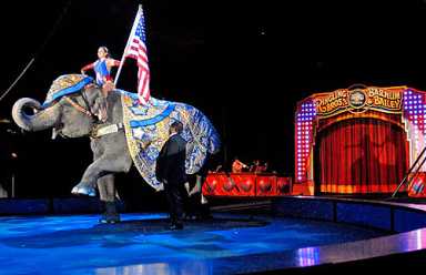 It IS the ‘Greatest’ show