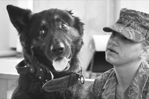 Canines prove to be the best medicine