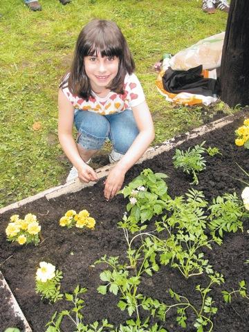 Library invests in marigold magic