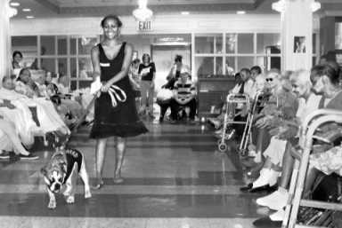 Ain’t nuthin’ but a hound dog âˆ’ but seniors love ‘em