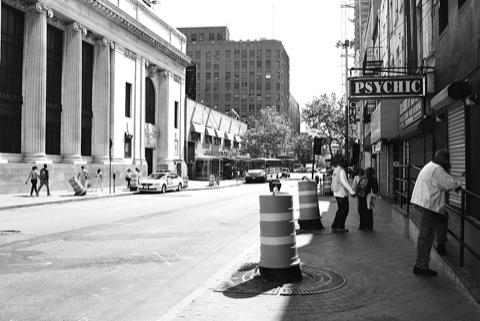 No partridges in uprooted pear trees