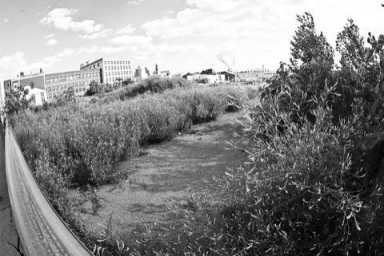 Whole Foods: hungry for BK