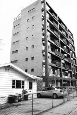 Brighton wonders: now what?