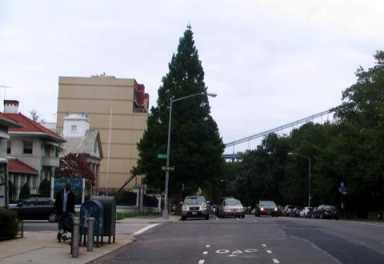 Go slow on Shore, says local pol