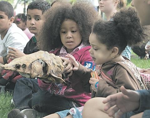 Doggone good and environmentally friendly!