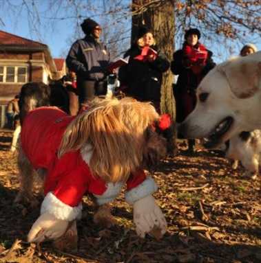 ‘Bark! The herald angel sings! returns in ’09