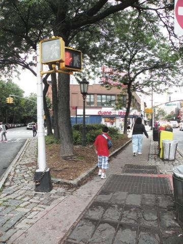 Flatbush Avenue âˆ’ a stroller’s dream