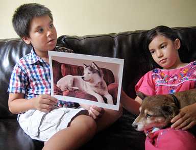 Help them find Laika — the stolen dog!
