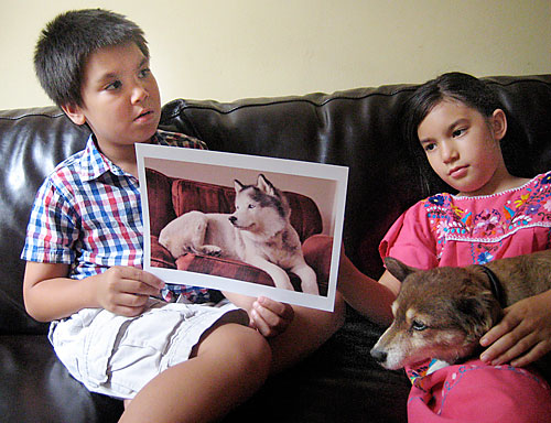 Help them find Laika — the stolen dog!