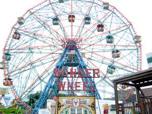 Fun in the sun this summer