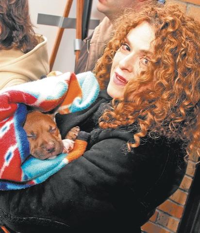 D.A. salutes animal rescue groups