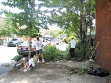 Clean & Green along the Gowanus