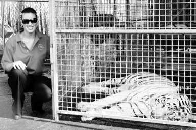 Brooklyn’s wild and wooly neighbors