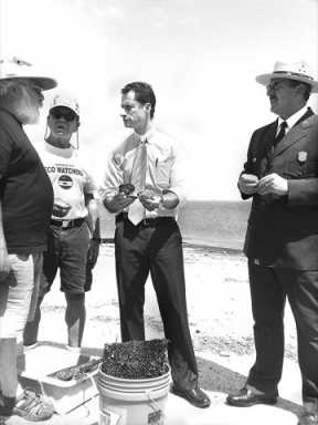 Oysters make bid to return