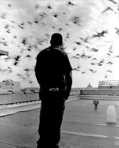 Now playing: ‘Above Brooklyn’ on the roof