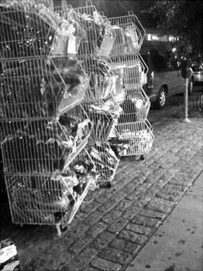 New era on Cortelyou Road