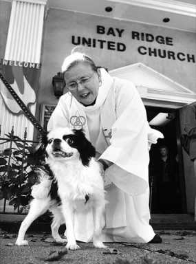 Bay Ridge United Church%A0blesses a furry flock
