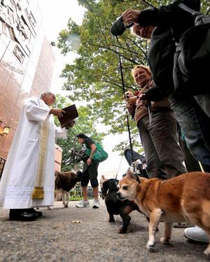 Pet lovers ask church to bless fido