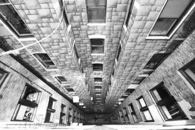 Beautiful new Brooklyn mural