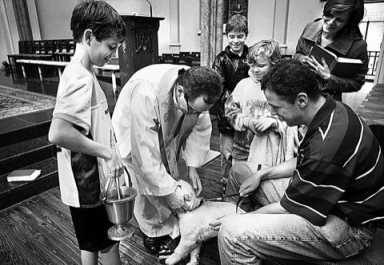 Blessing of the animals at St. Boniface