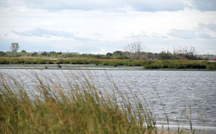 Jamaica Bay’s marshes to be restored