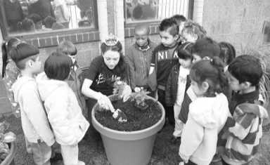 Ecoâˆ’minded civic action at its greenest